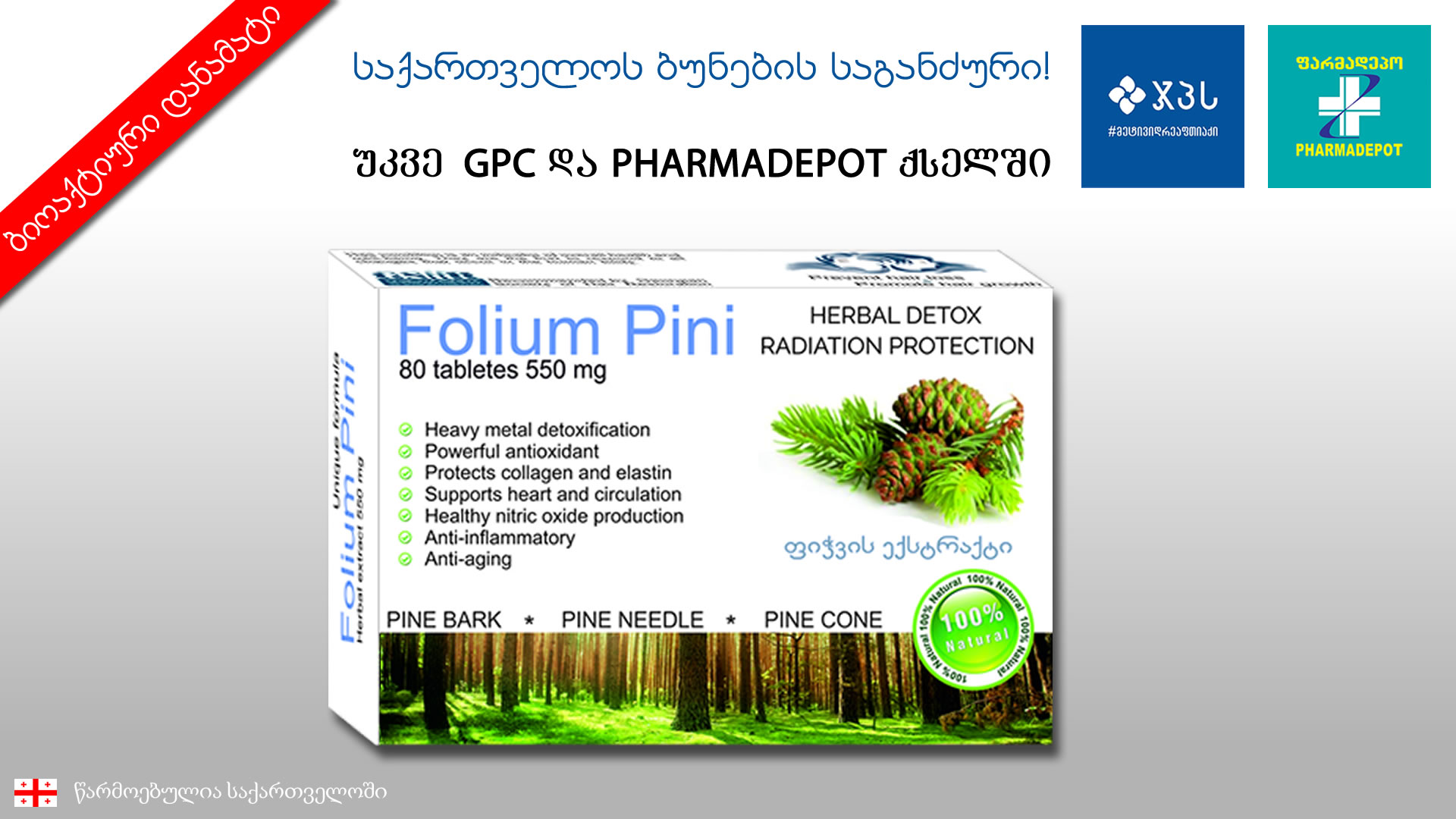 Folium pini ფოლიუმ პინი